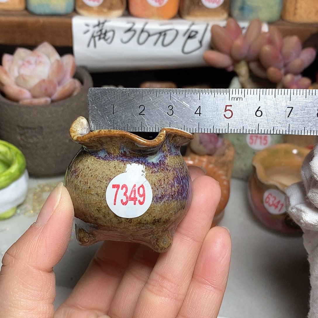 红陶拍5送一个小