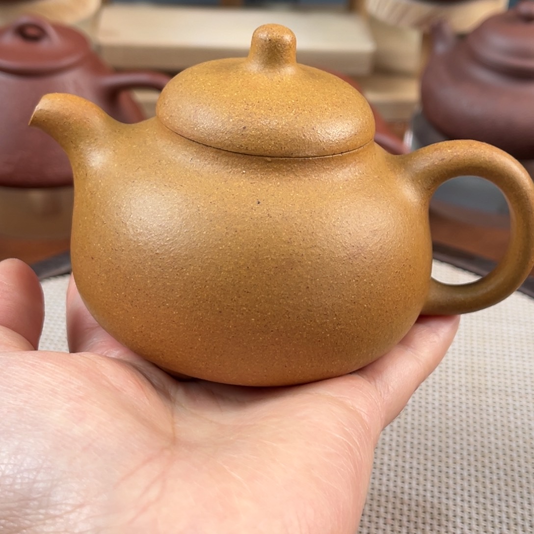 将***往紫砂茶壶564588888588