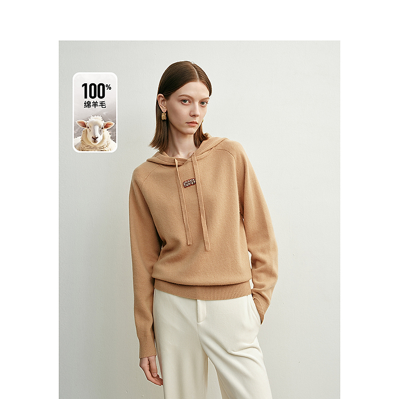 【籽言专属】DC-NICE毛针织衫8267