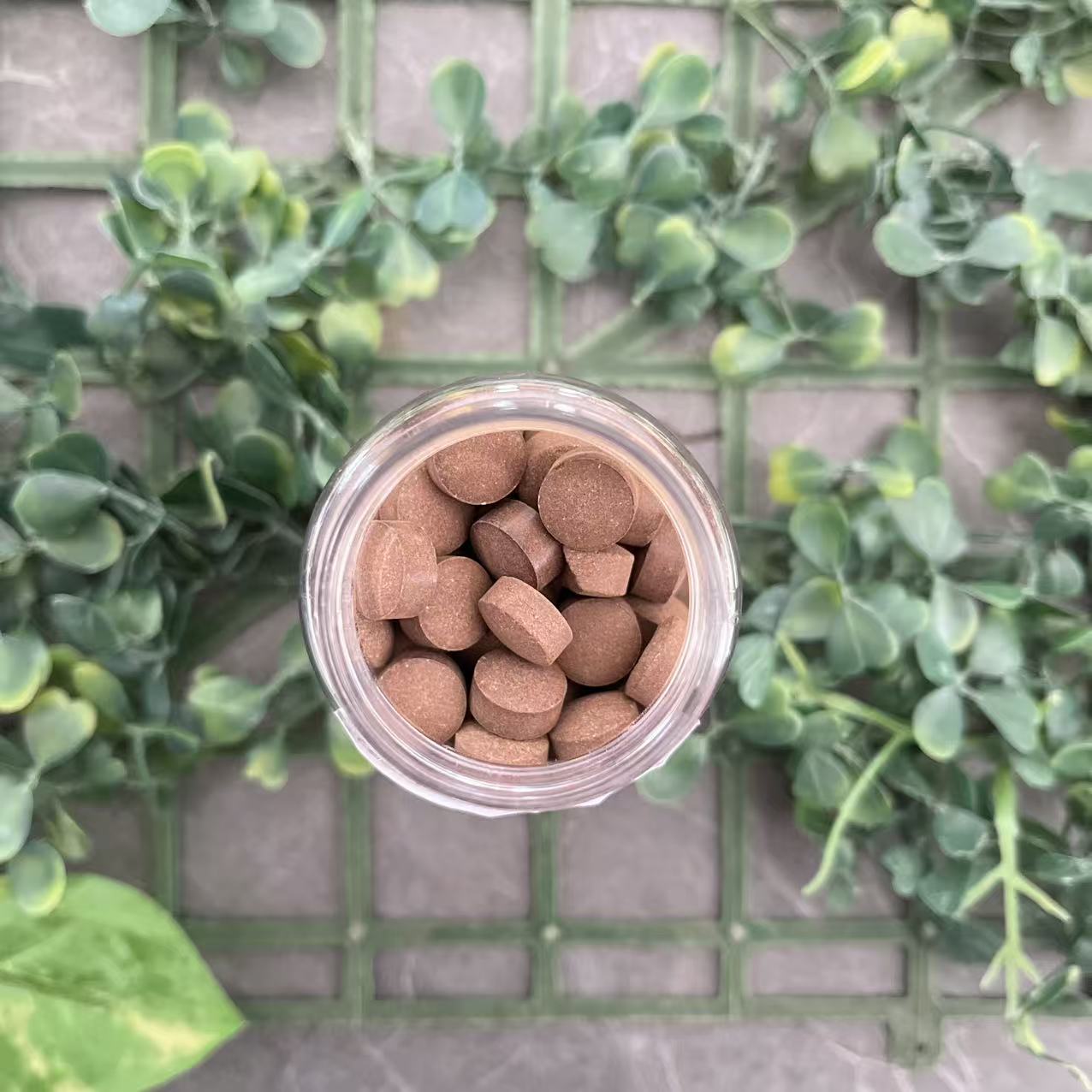  雨腾古茶  G精Y康 协“儿K”黑Z珠60g/盒（12月24）