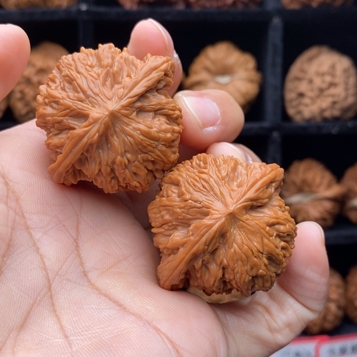 子***小龙脊菩提吊坠磨盘41尺全品