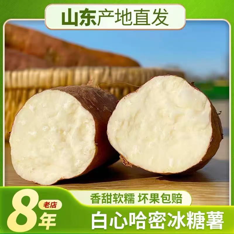 新鲜白心沙地哈密冰糖薯粉糯甘甜红薯