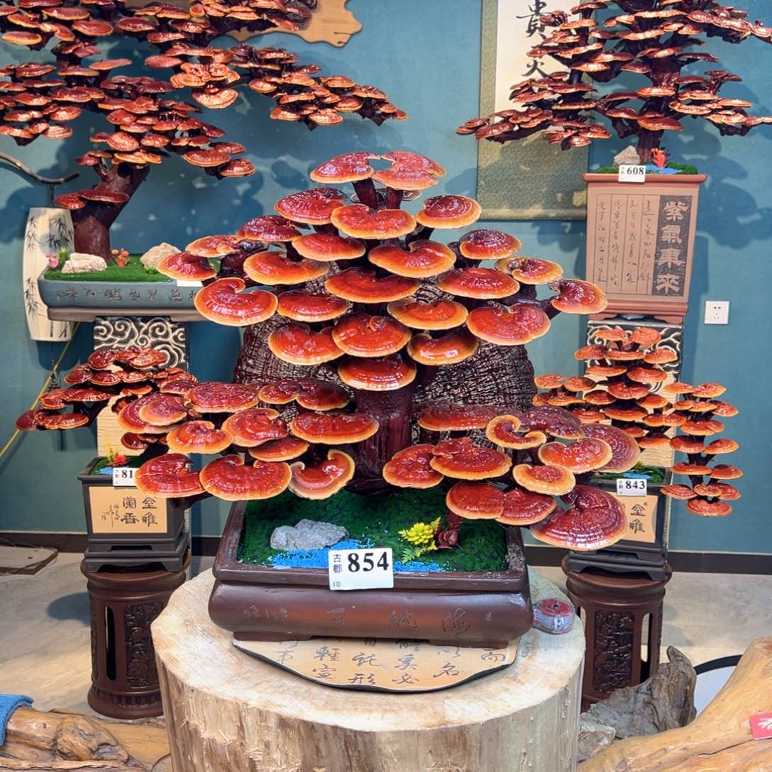 凤***姐无花朵8688888888888 