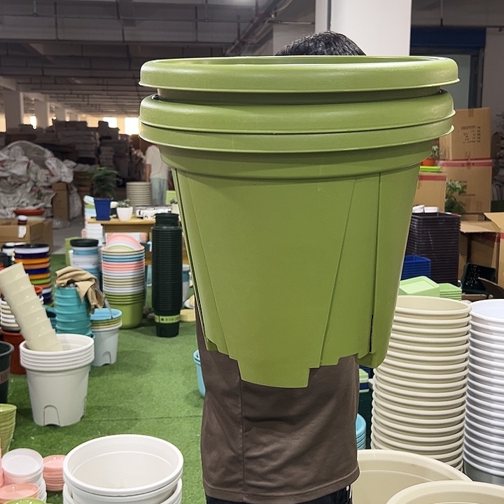 青山盆口40高35果绿色3个无托