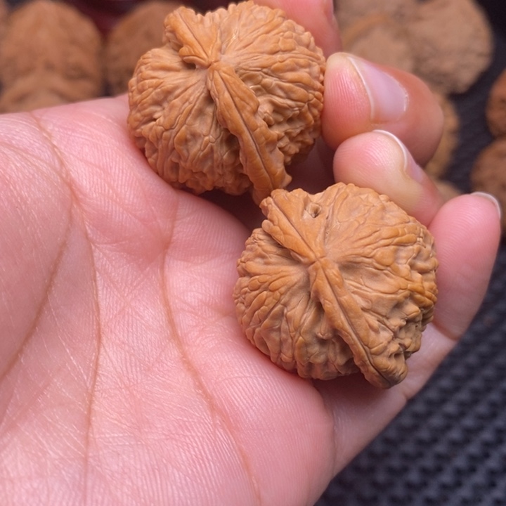 秦岭野生111111111