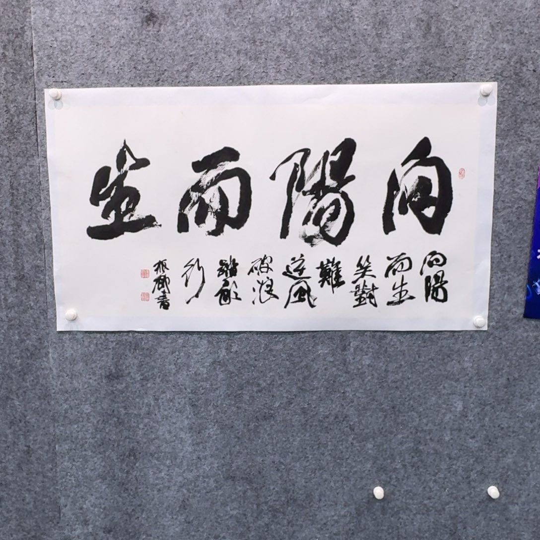 书法书法YZQ书法作品