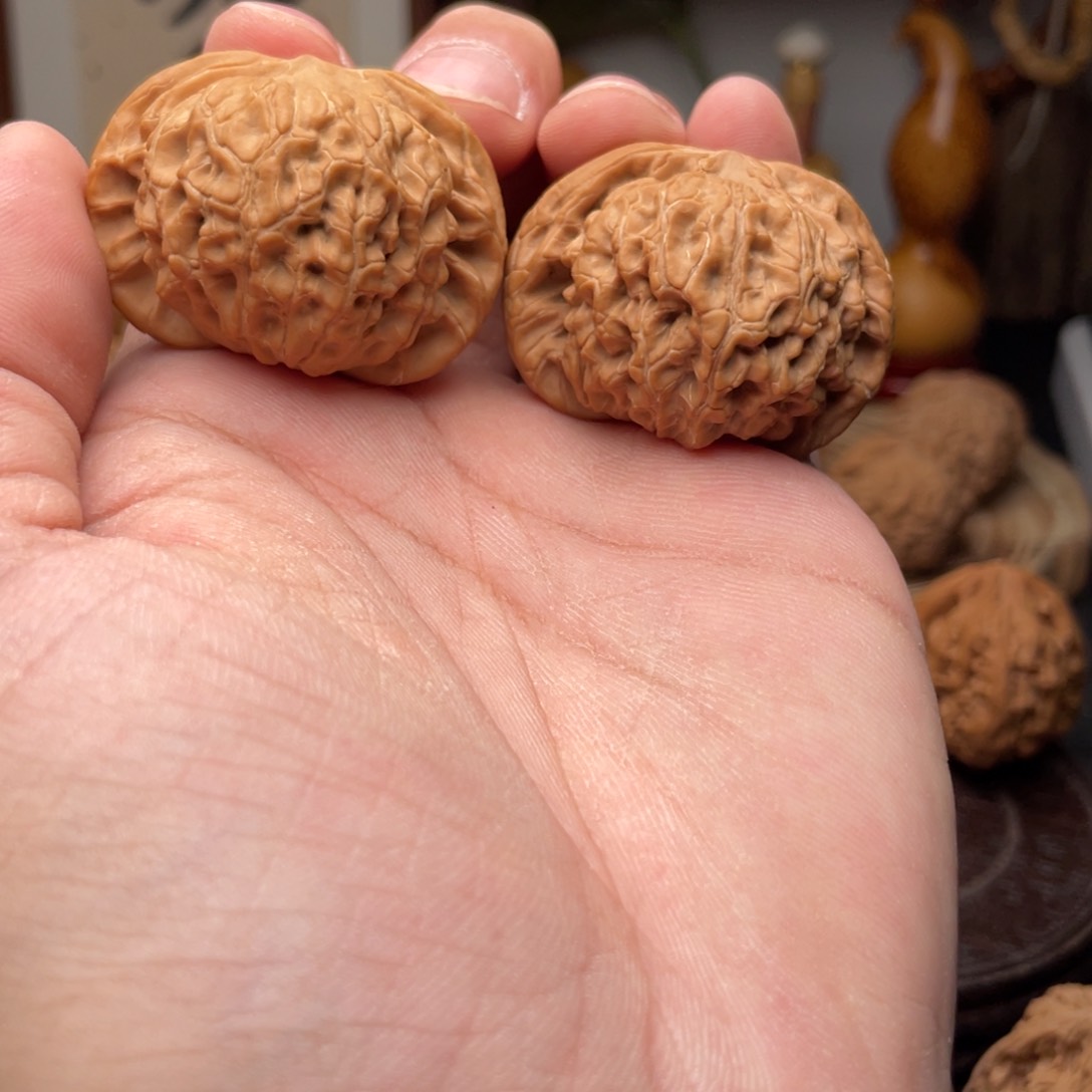 文玩核桃把件用****2核王40