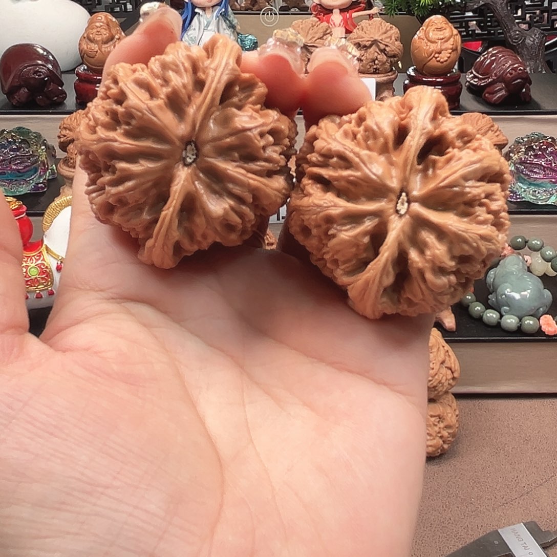 _***_核桃47大粗筋狮子头