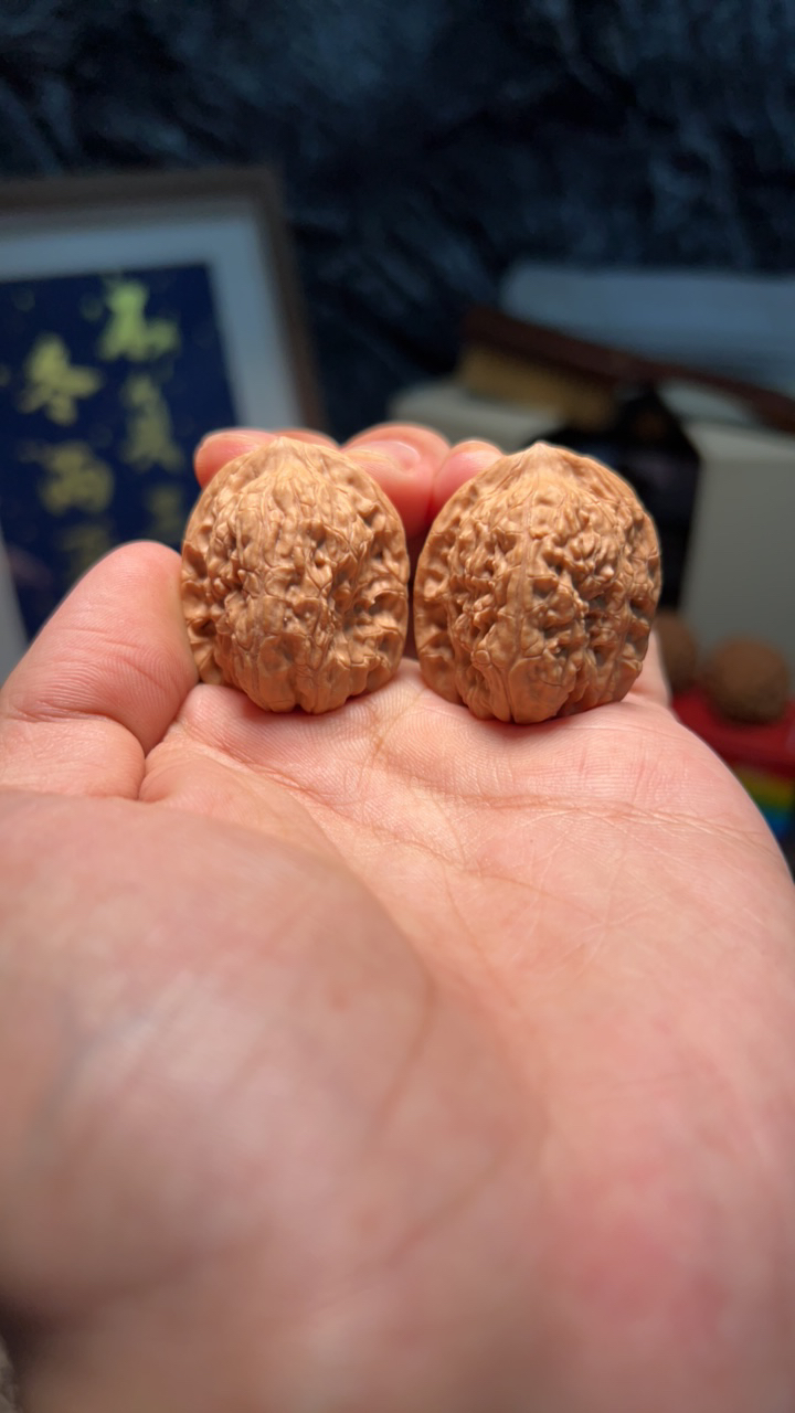 文玩核桃 宽城 8825号 31尺寸