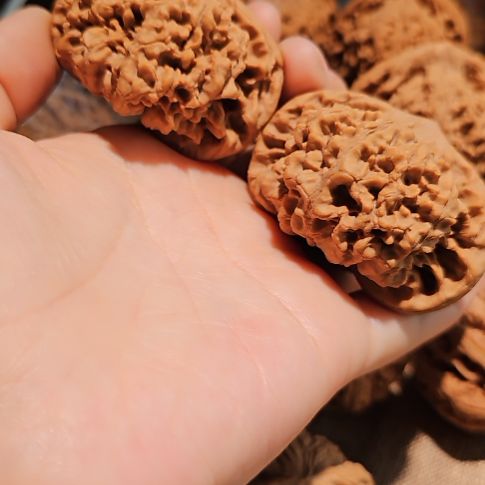 吊坠文玩核桃54龙鼎管帽