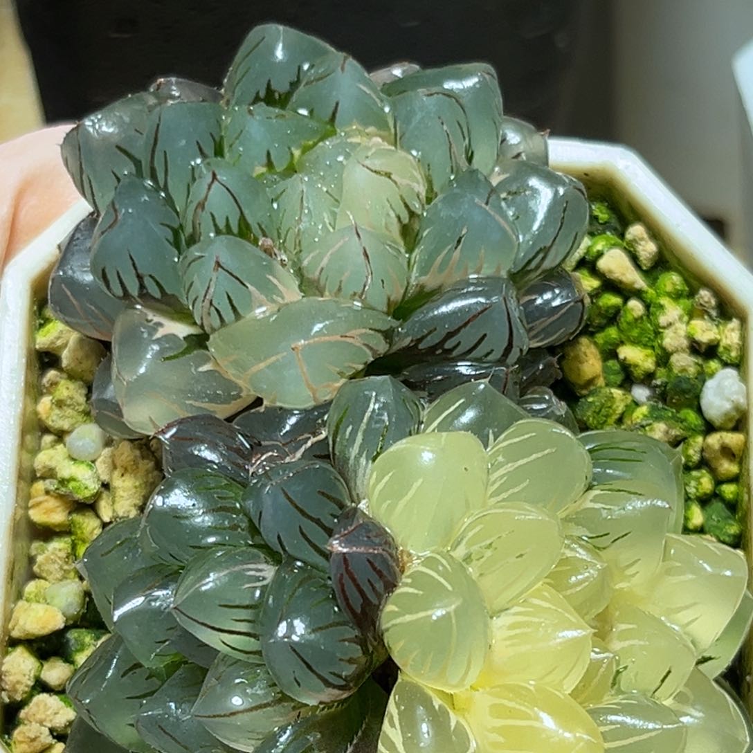 恭喜发财大吉大利939