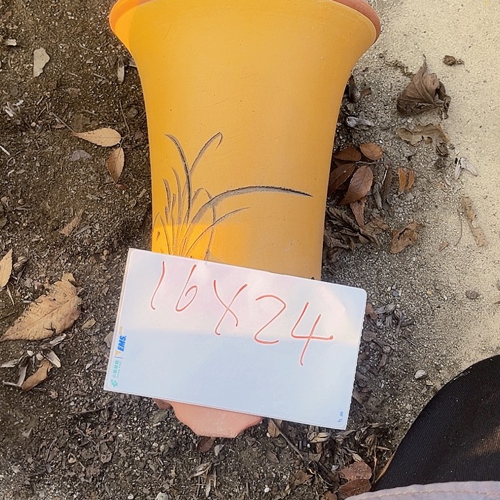 花盆紫砂122222222