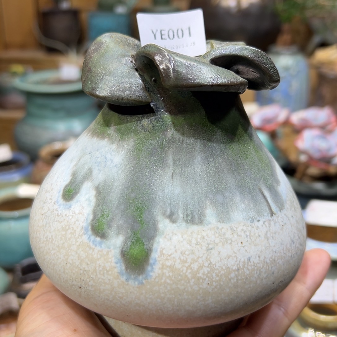 1987花盆ye001蝴蝶泉边花口