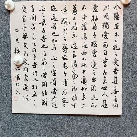 【闪购商品】书法1****1一平尺爱莲说作品