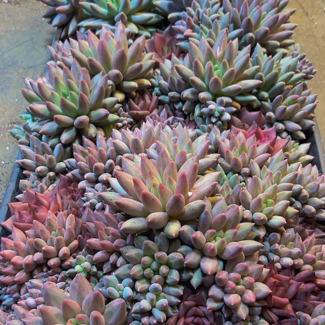 @***愿224点点滴滴的地方吃饭