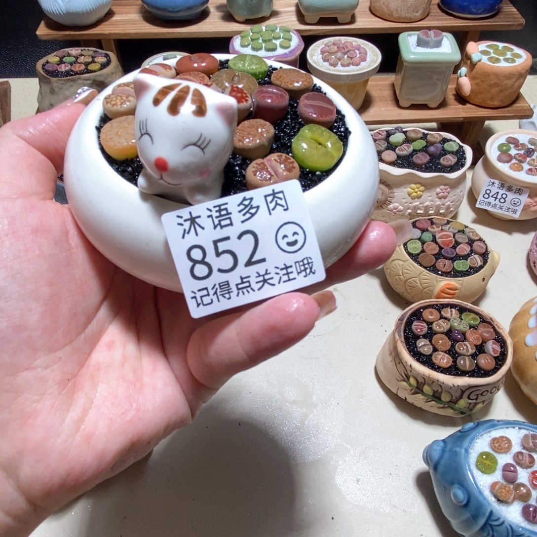 所见即所得 一物一拍852