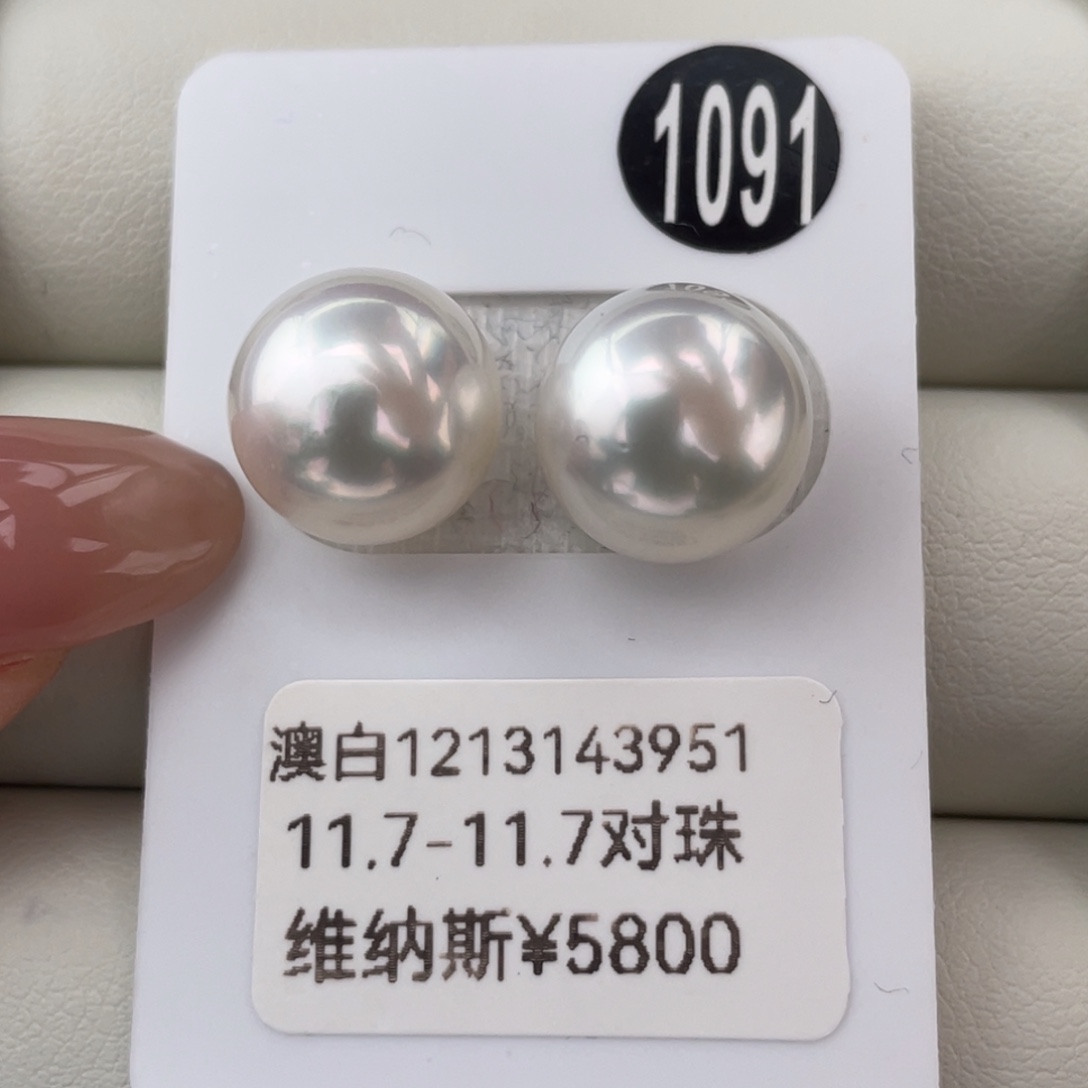 定制海水珍珠未镶嵌耳饰澳白维纳斯11.7-11.7mm