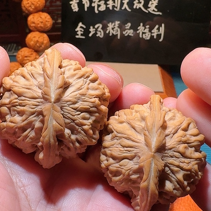 顶级天地狮子头尺寸44毕业级品相