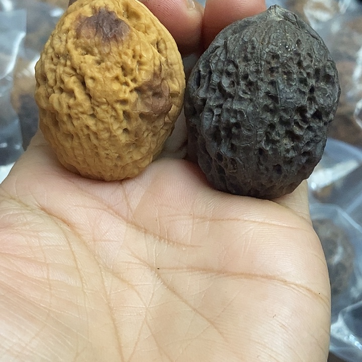 把件文玩核桃云南铁核桃基地39