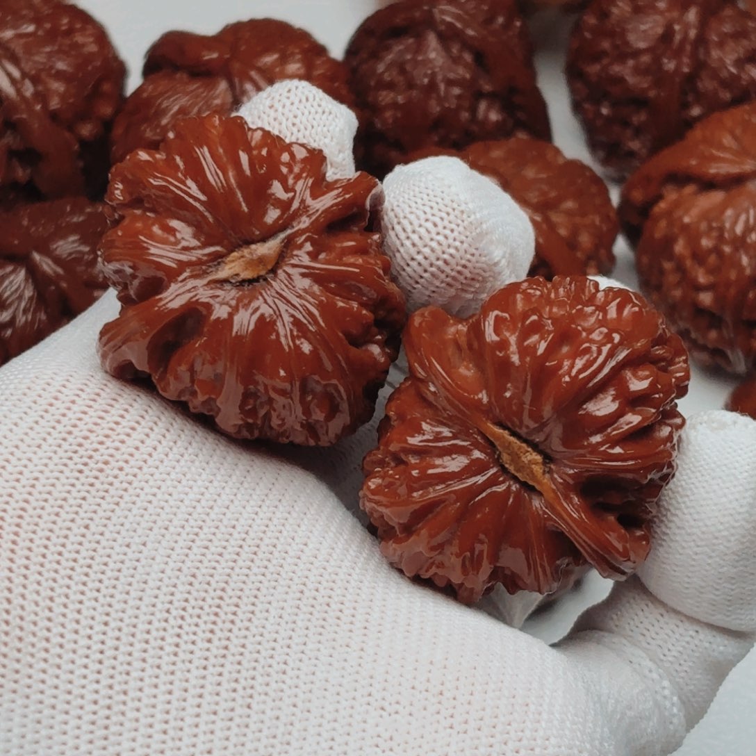 0***t桃核吊坠白狮子核桃