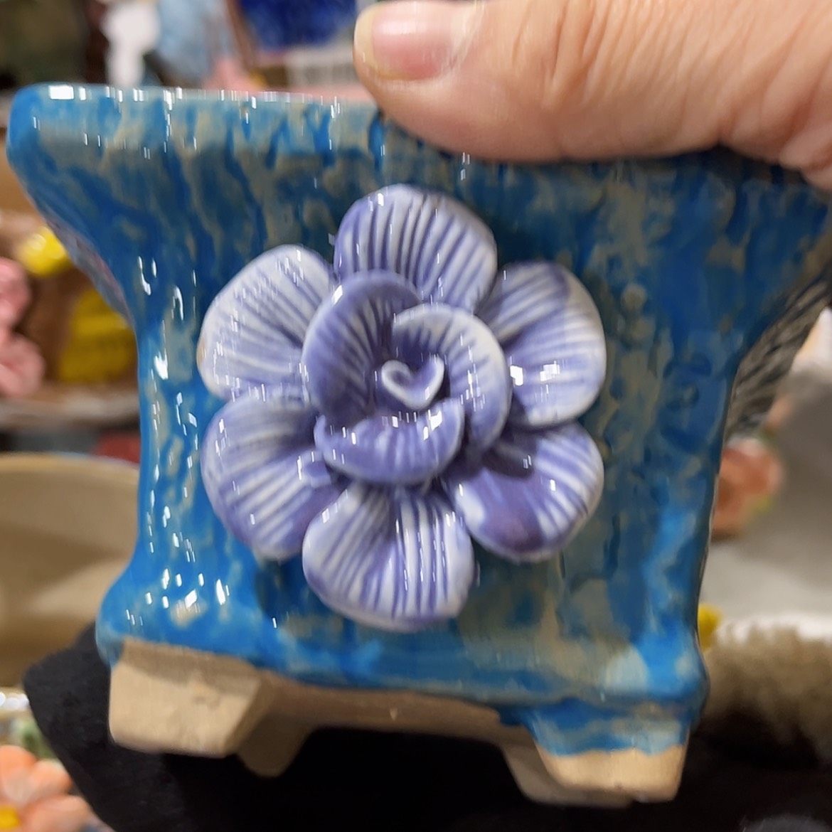 【闪购商品】红陶福利