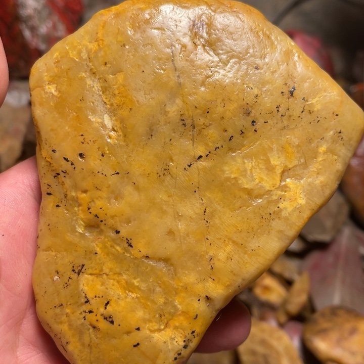 田黄石397克昌化田黄石