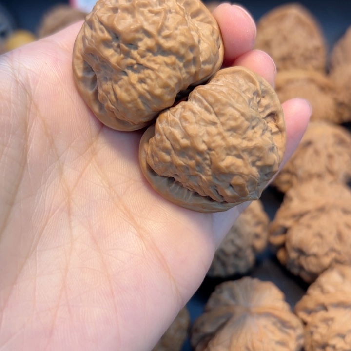 38全品蛤蟆蛤蟆蛤蟆