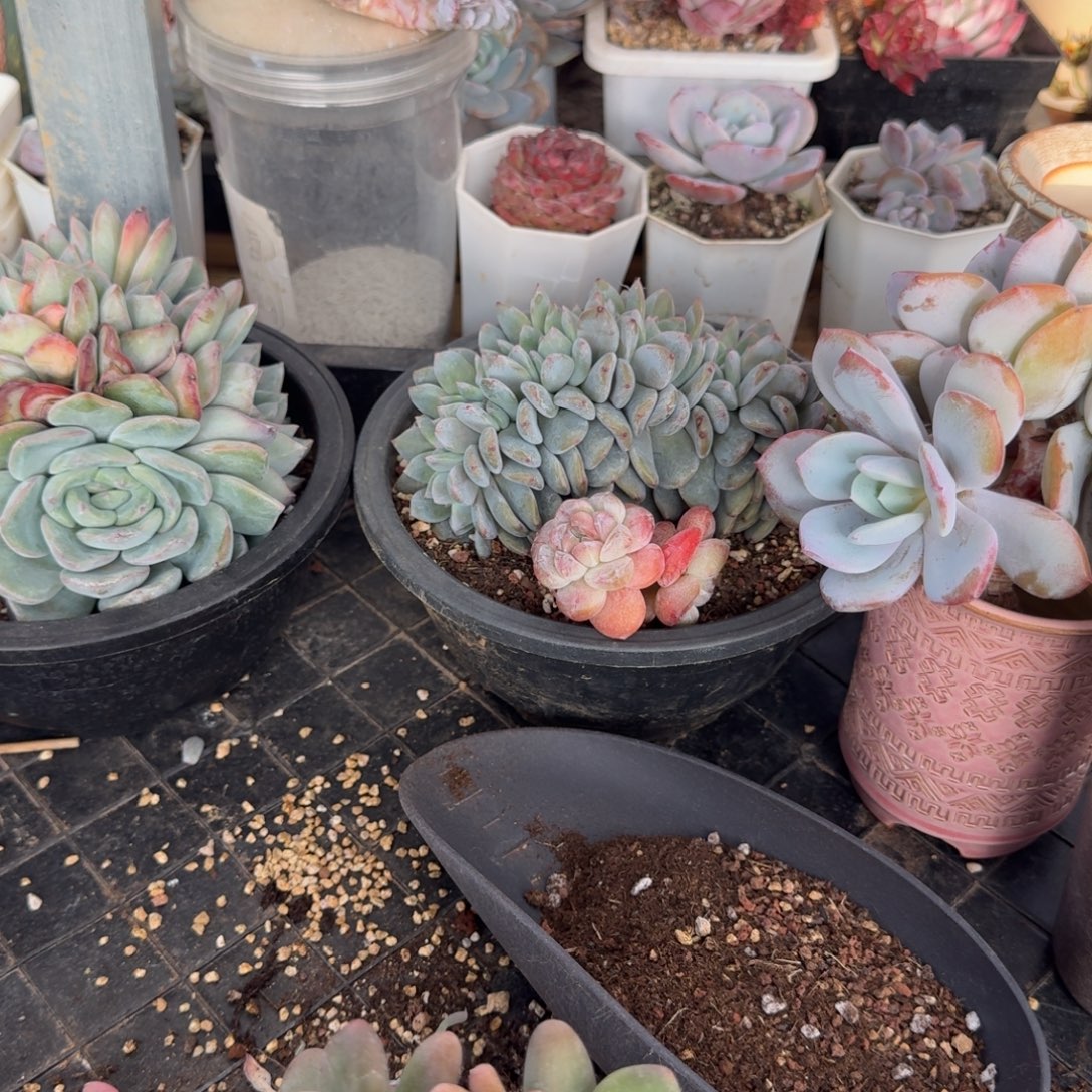 *****哈哈哈哈哈哈哈哈哈哈哈