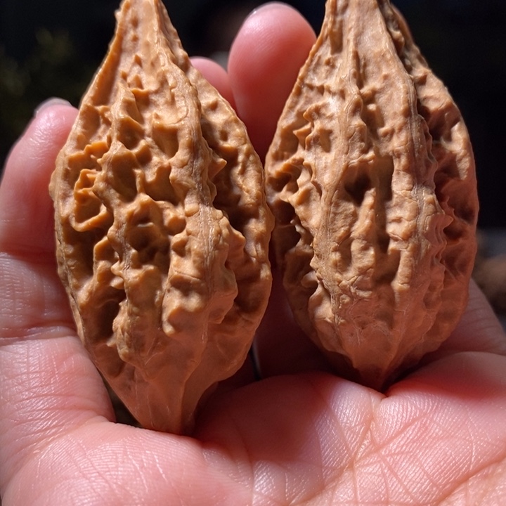 把件文玩核桃东北楸子小路 500