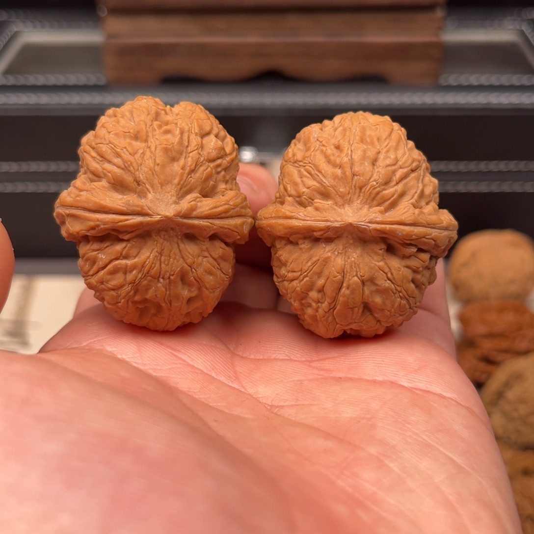 文玩核桃吊坠43黑狮子