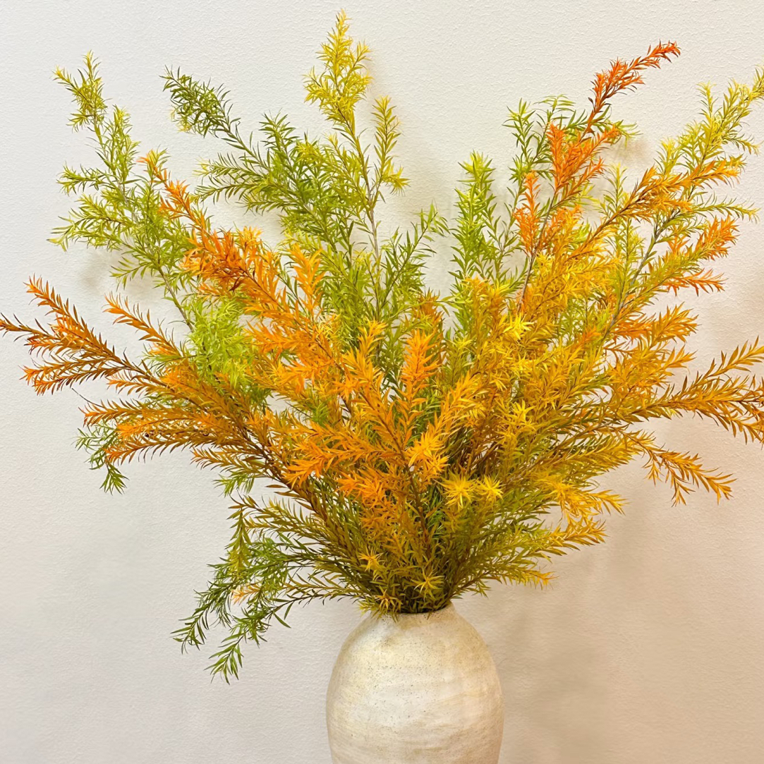 千层金（橙色，黄色，红色随机发）扎