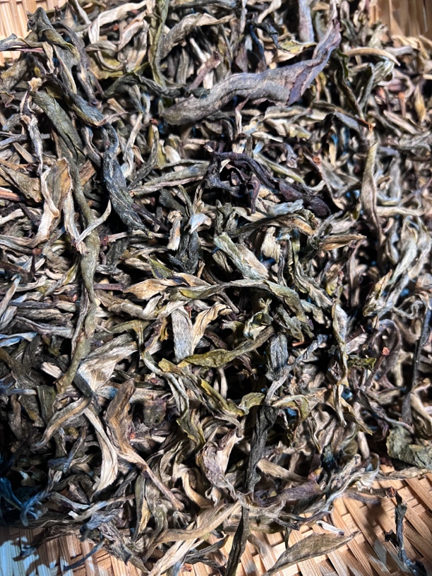 25年单株明前春古树纯料普洱茶生茶200克
