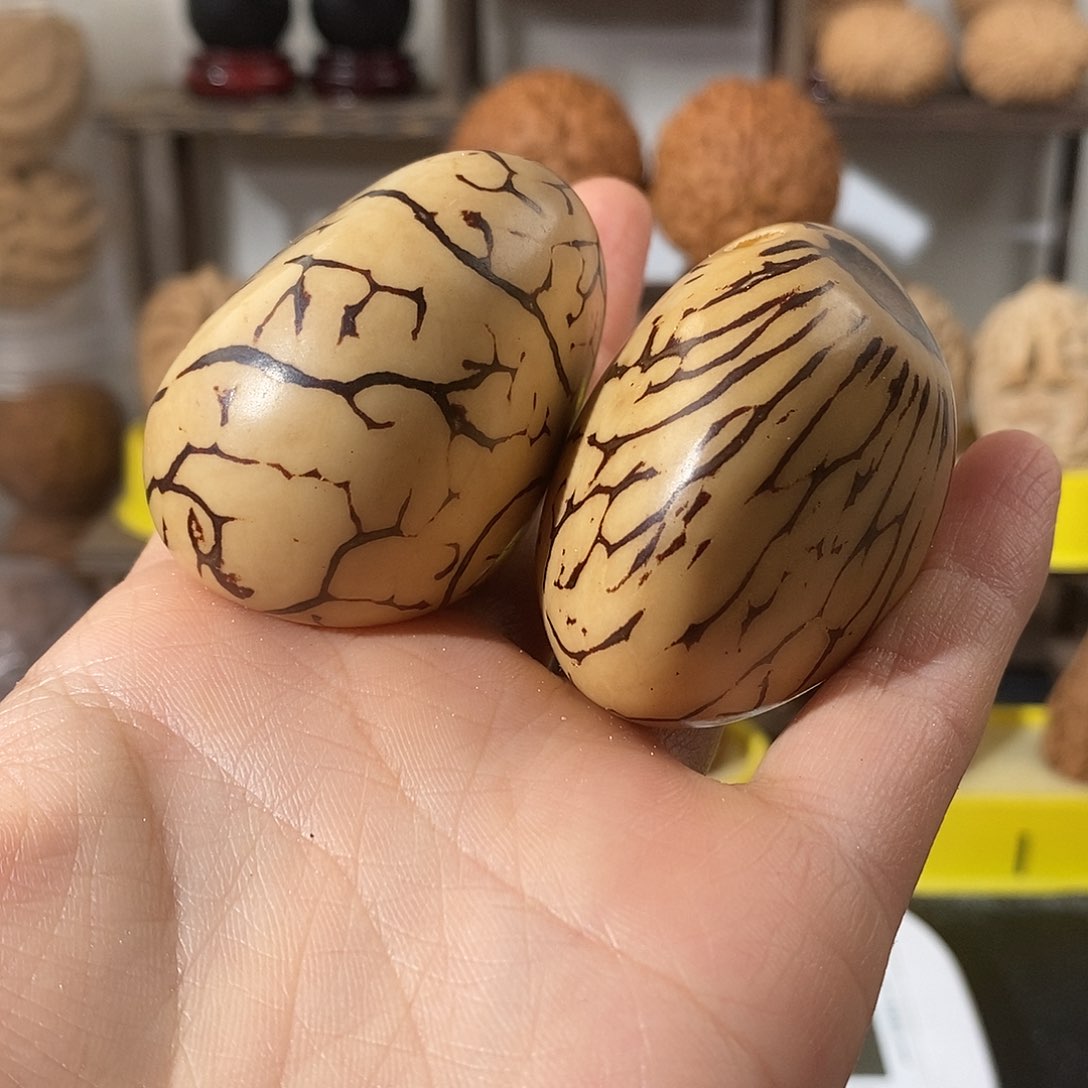 吊坠文玩核桃大*象牙果2颗