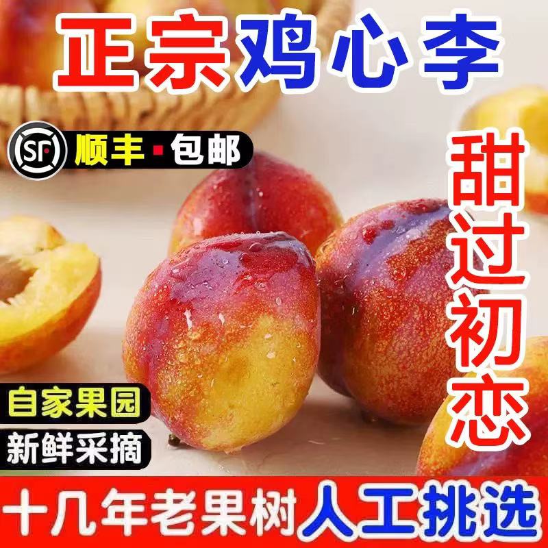【低价速发】顺丰包邮正宗东北鸡心李子吉盛干碗离核脱骨李果园直发