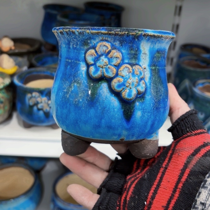 红陶木**彤内口9.5高11左叶天