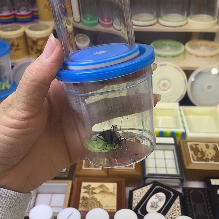 余***忧麒麟1+鸣虫罐1啊啊啊啊啊