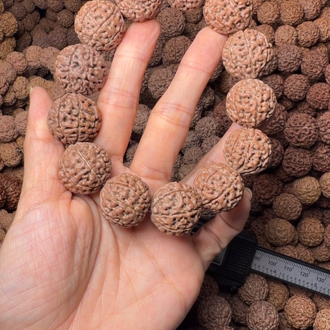 金刚菩提手串8瓣卡22尺，31号