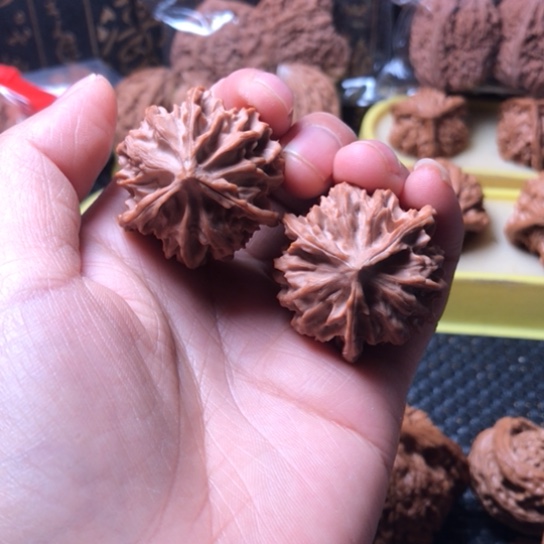 【闪购商品】岐山三棱