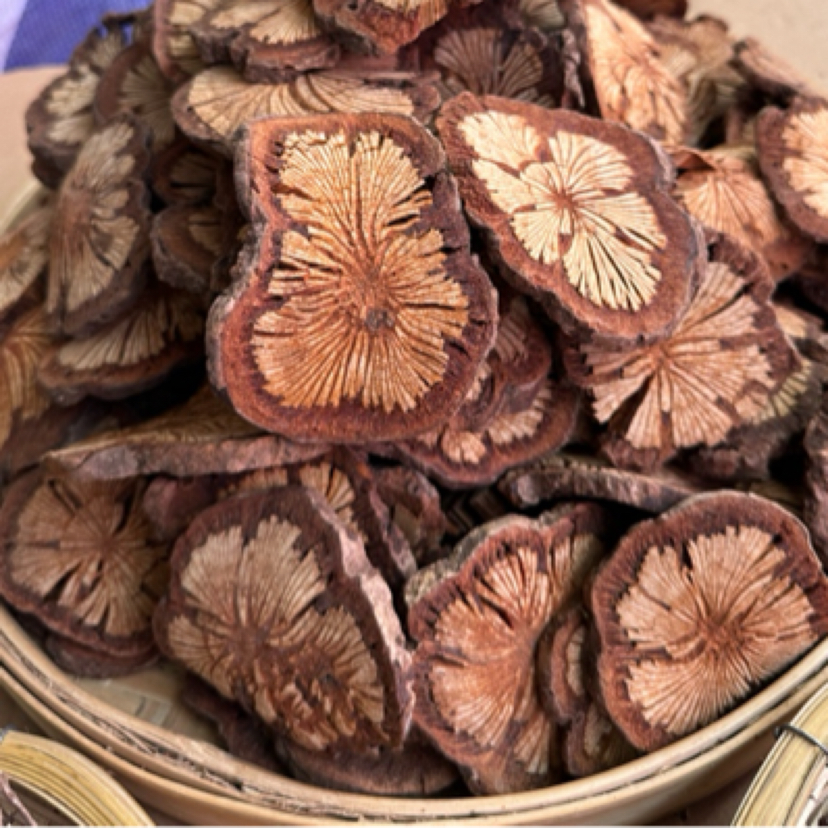 下山【血塞通】干片自然晾晒