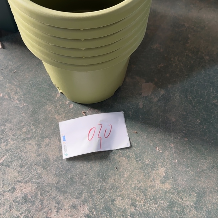 编号是030号的030号的