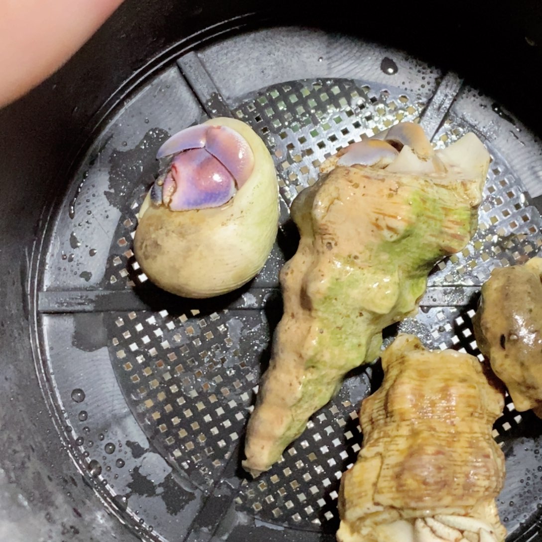 观赏蝎bi紫陆寄居蟹包邮包邮包邮