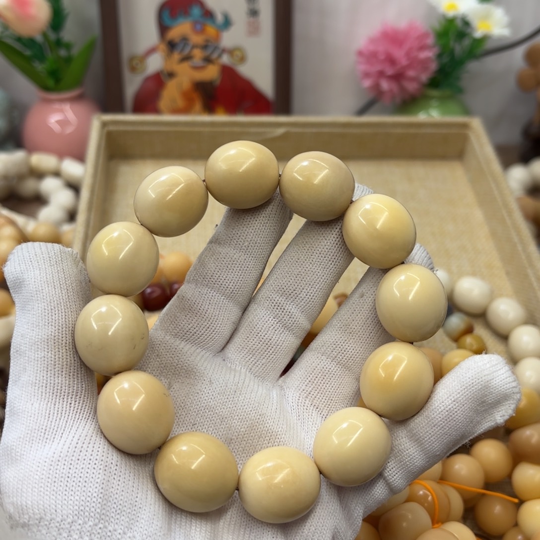 吊坠菩提根/象牙果牙果大瑕疵干磨620