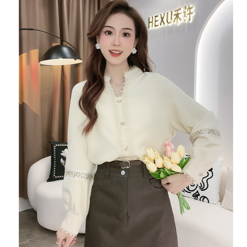 高级感穿搭长袖秋装衬衣上衣秋季气质别致衬衫女装