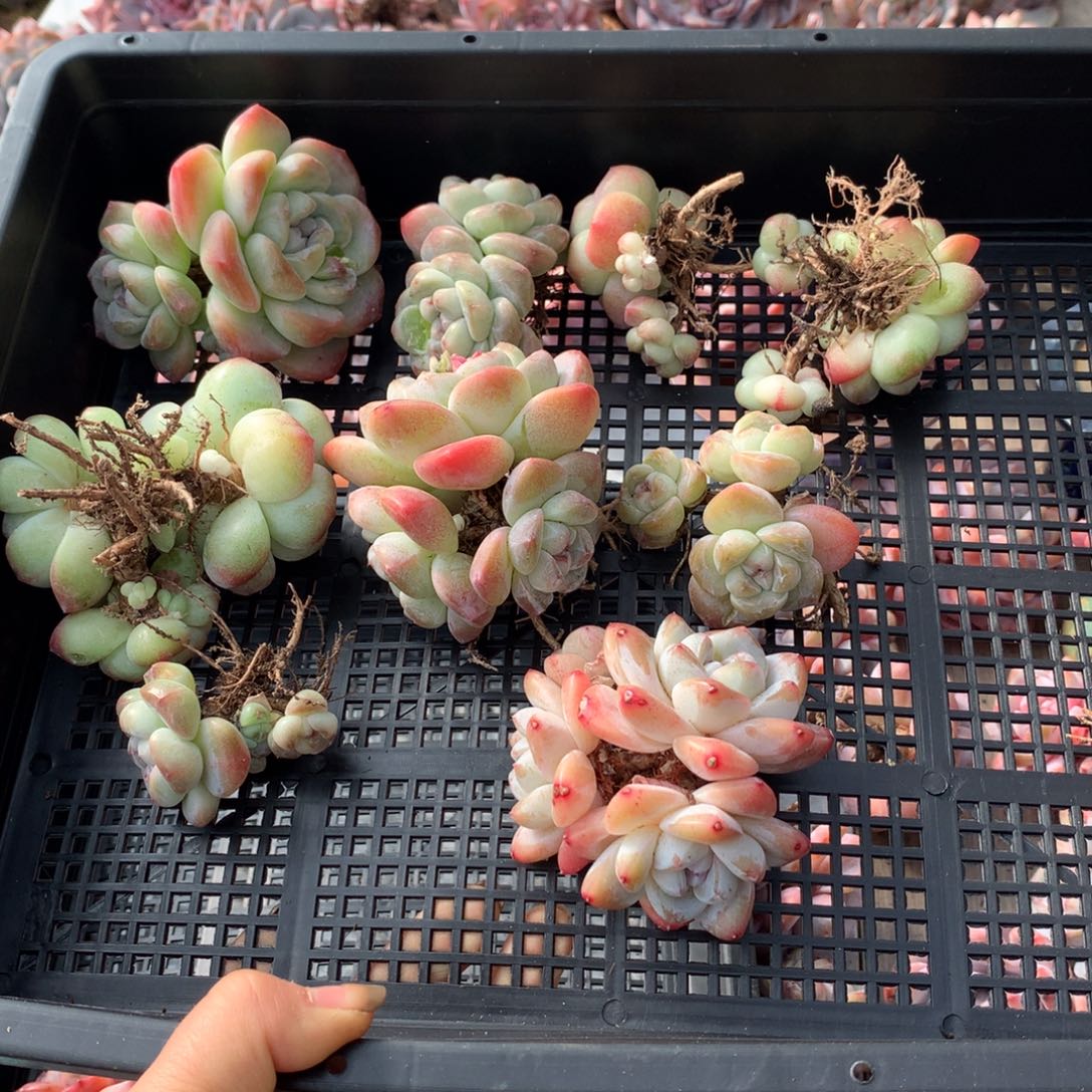 哈哈哈哈哈哈哈哈哈哈哈