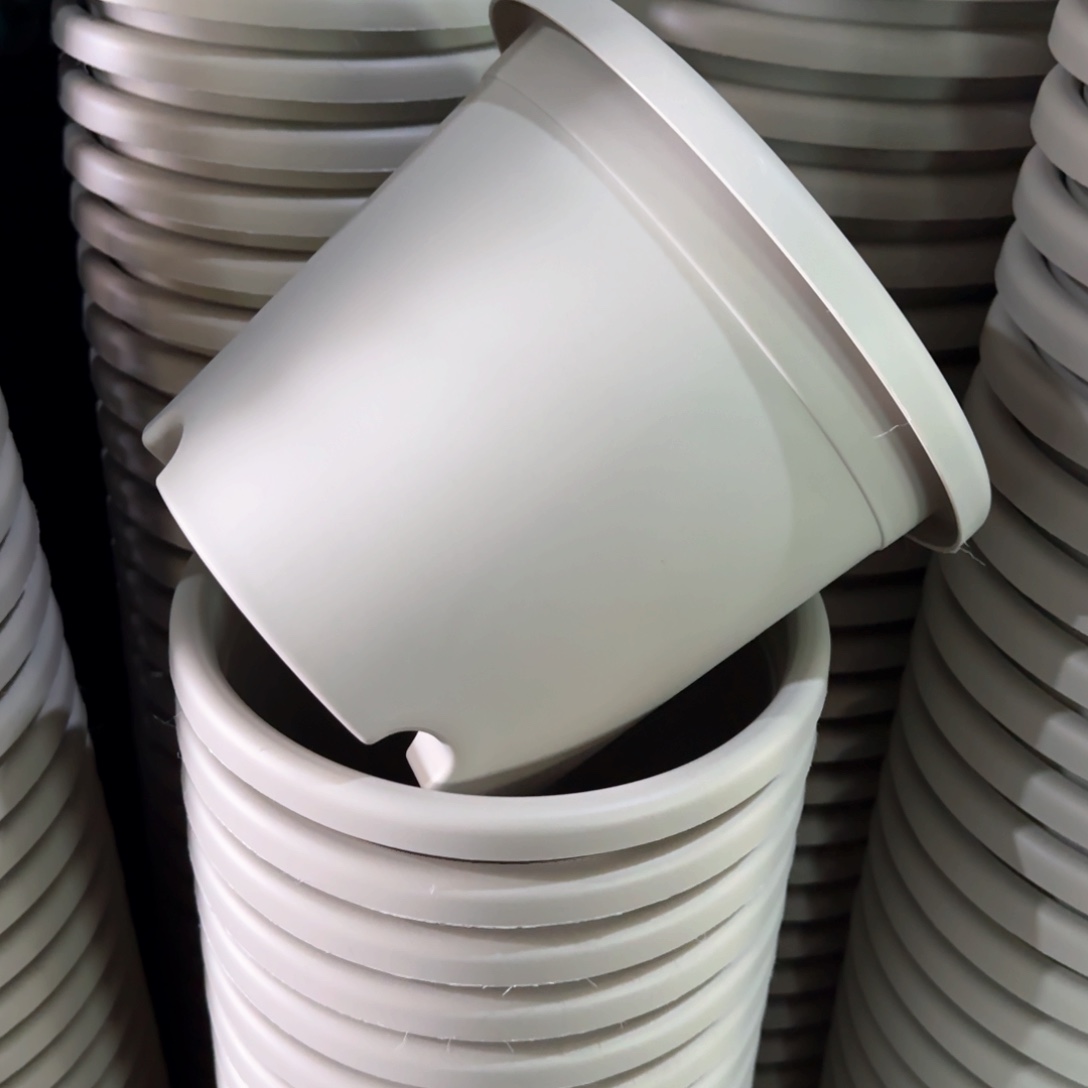 树脂特价3#无拖灰白10个