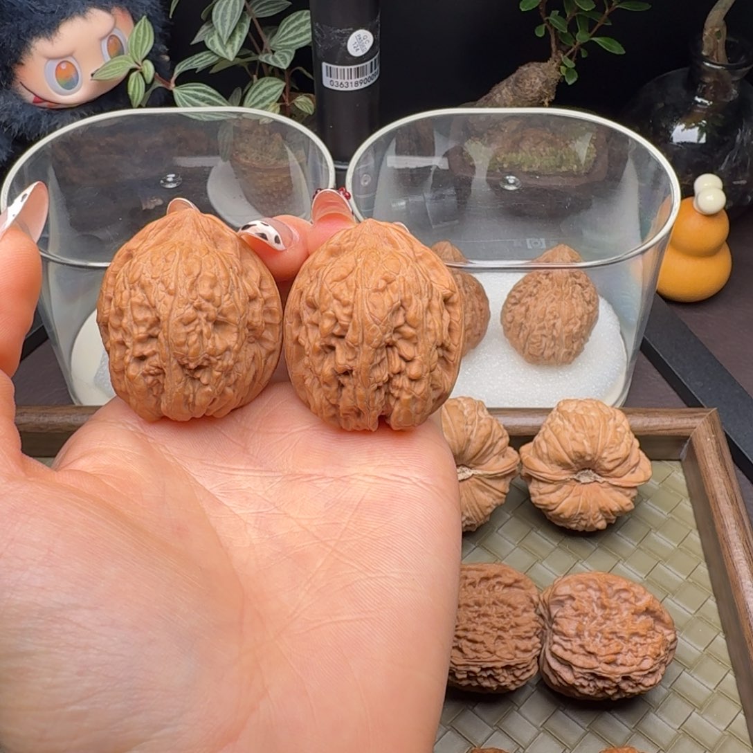 核桃全品赤龙鸡心36