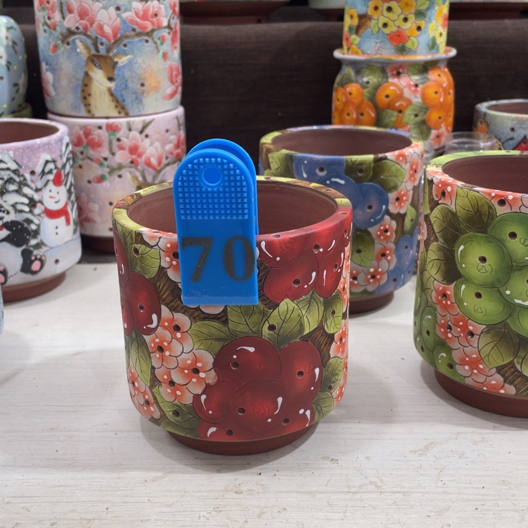 红陶多肉花盆直筒果子