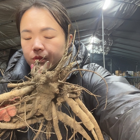 影***子完全开放黑海波涛芍药