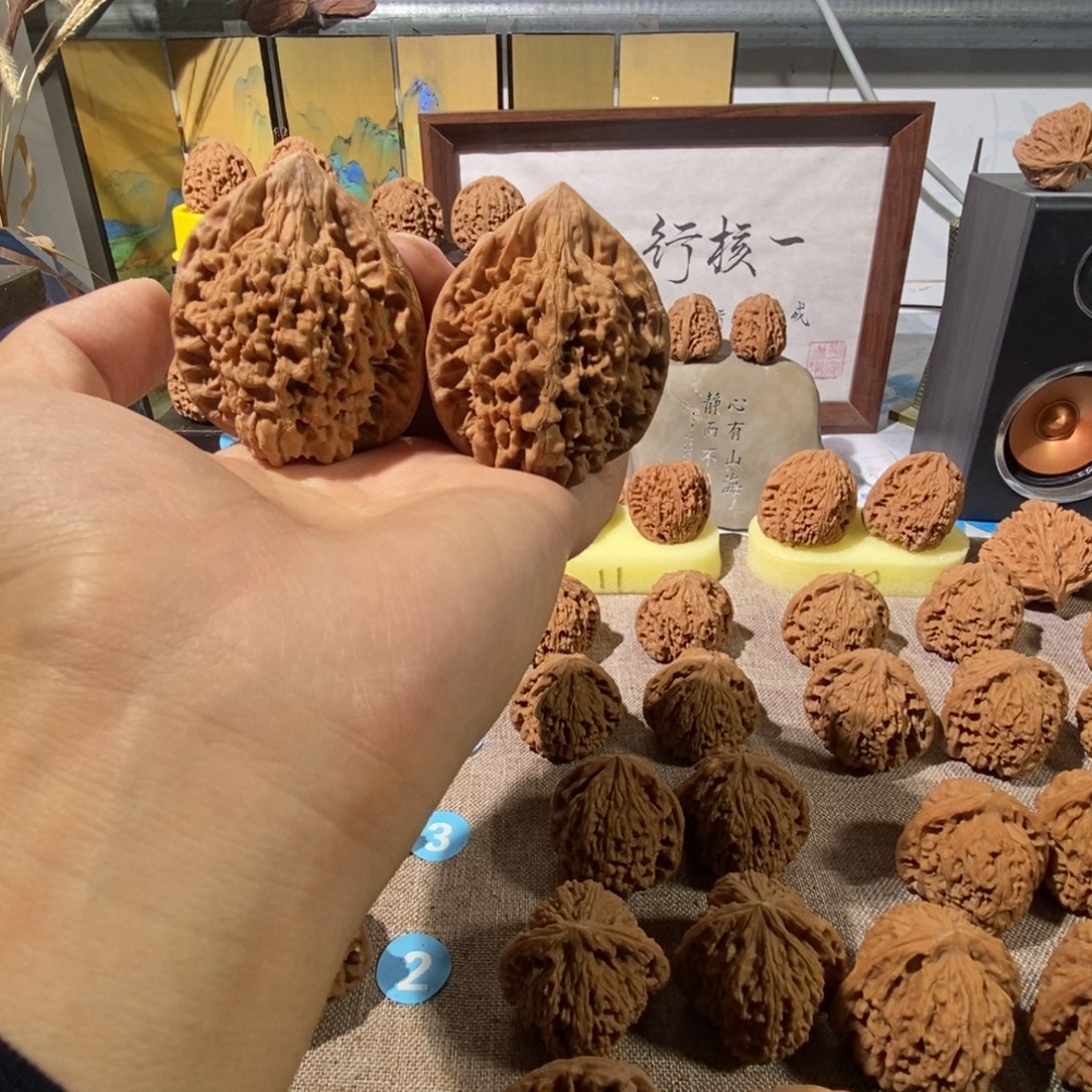 木质类官帽高尖嘴，奥迪