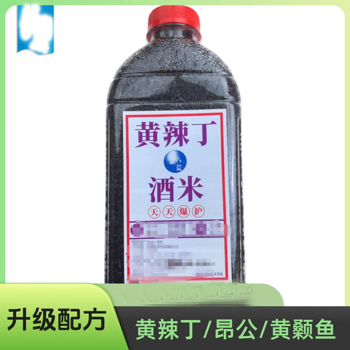 【黄辣丁昂公酒米】昂刺黄颡鱼浓腥味窝料黄骨鱼鱼饵打窝